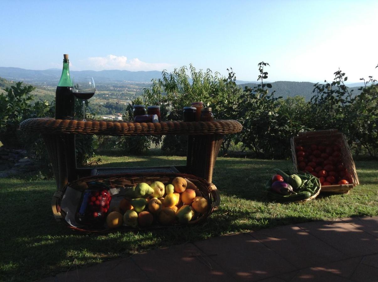 Villaspino Capolona ภายนอก รูปภาพ