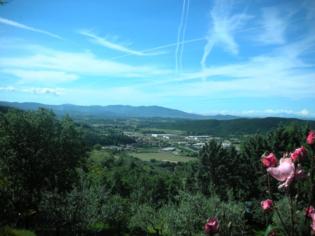 Villaspino Capolona ภายนอก รูปภาพ