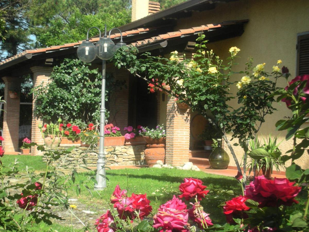 Villaspino Capolona ภายนอก รูปภาพ