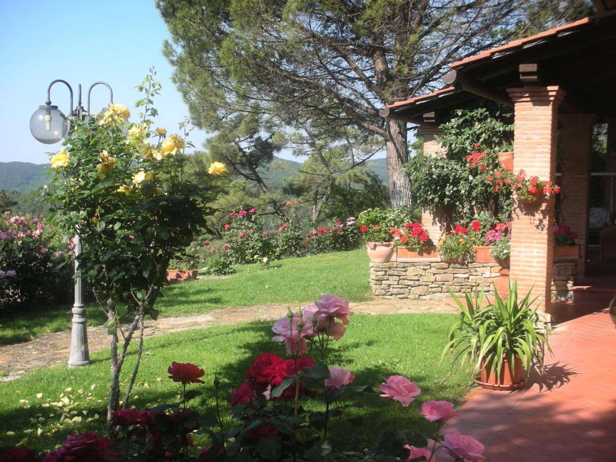 Villaspino Capolona ภายนอก รูปภาพ