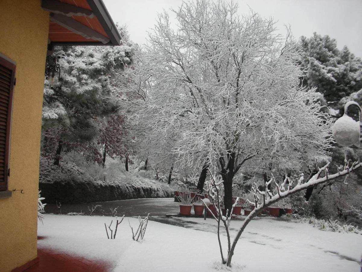 Villaspino Capolona ภายนอก รูปภาพ