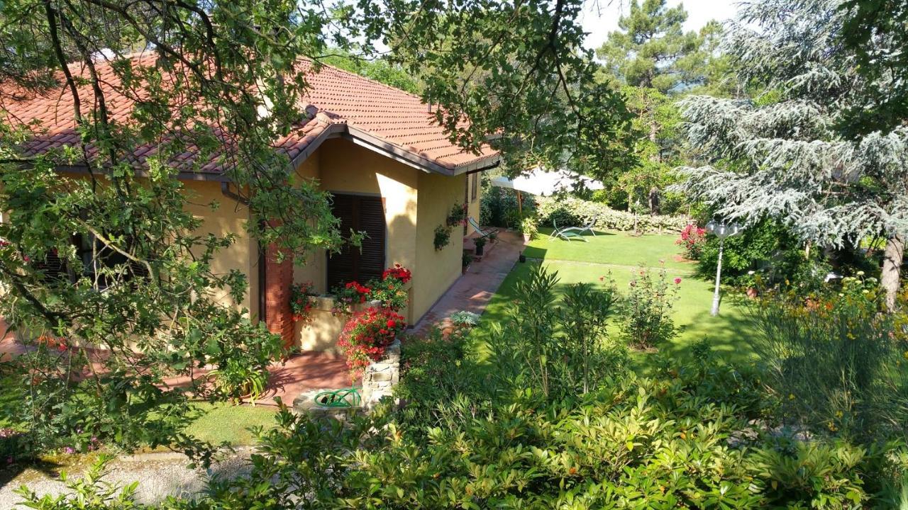 Villaspino Capolona ภายนอก รูปภาพ