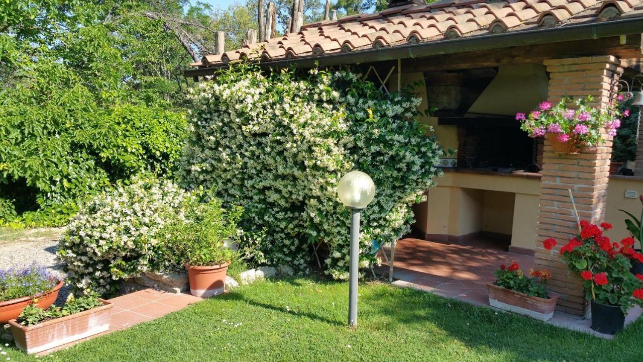 Villaspino Capolona ภายนอก รูปภาพ