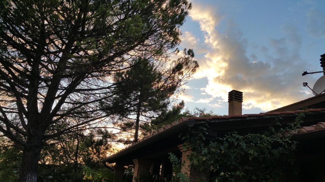 Villaspino Capolona ภายนอก รูปภาพ