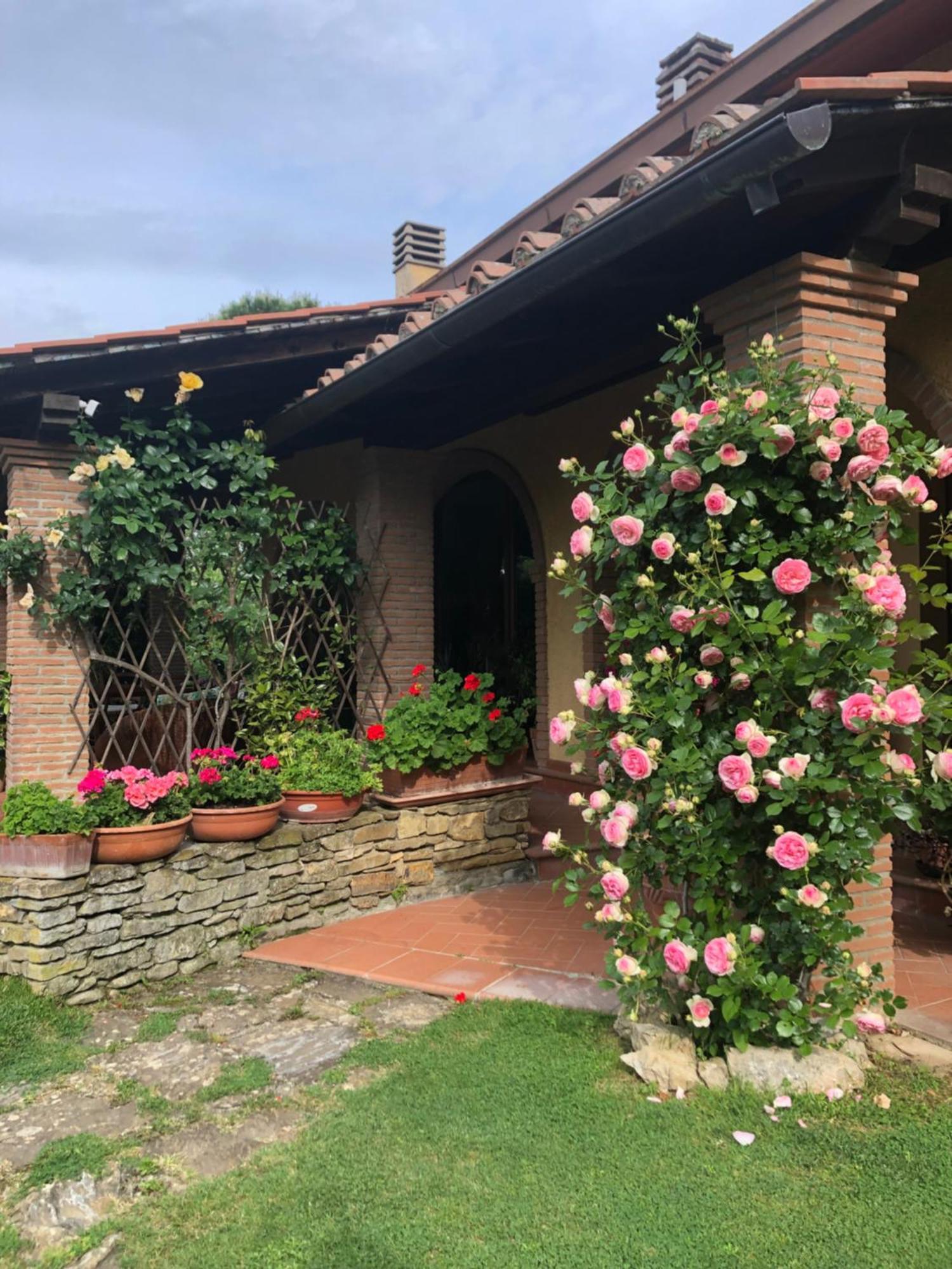 Villaspino Capolona ภายนอก รูปภาพ